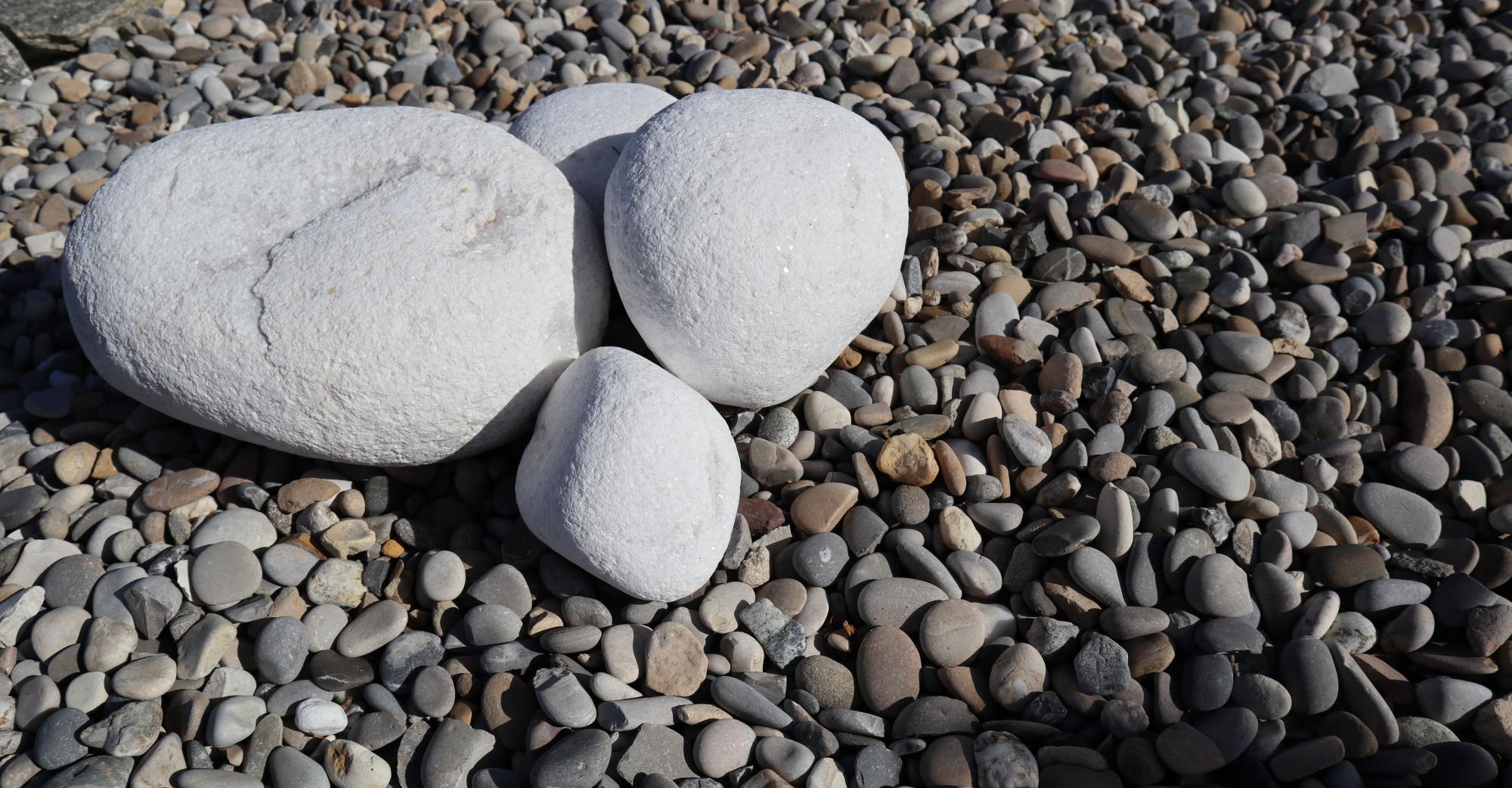 Galets d'ornement Blanc d'Alexandre posés sur galets gris de Durance