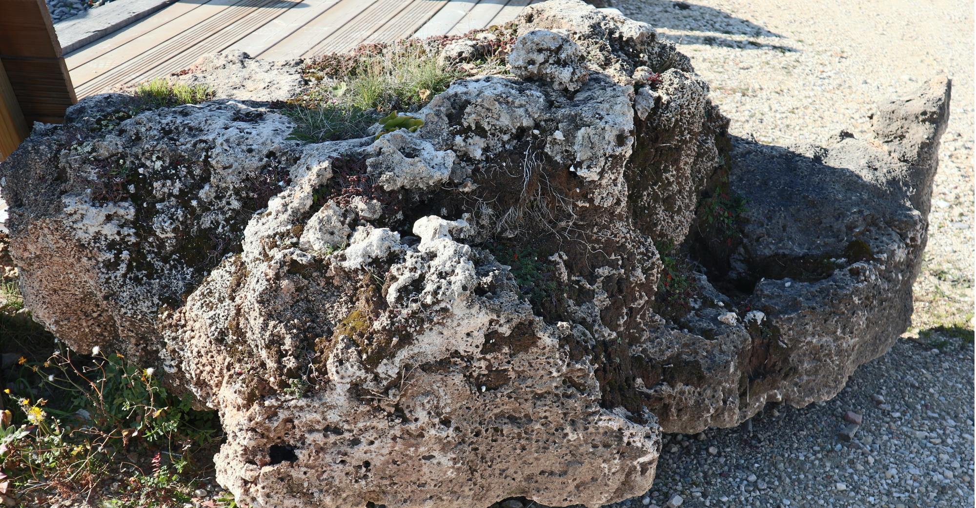 Roches décorative calcaire