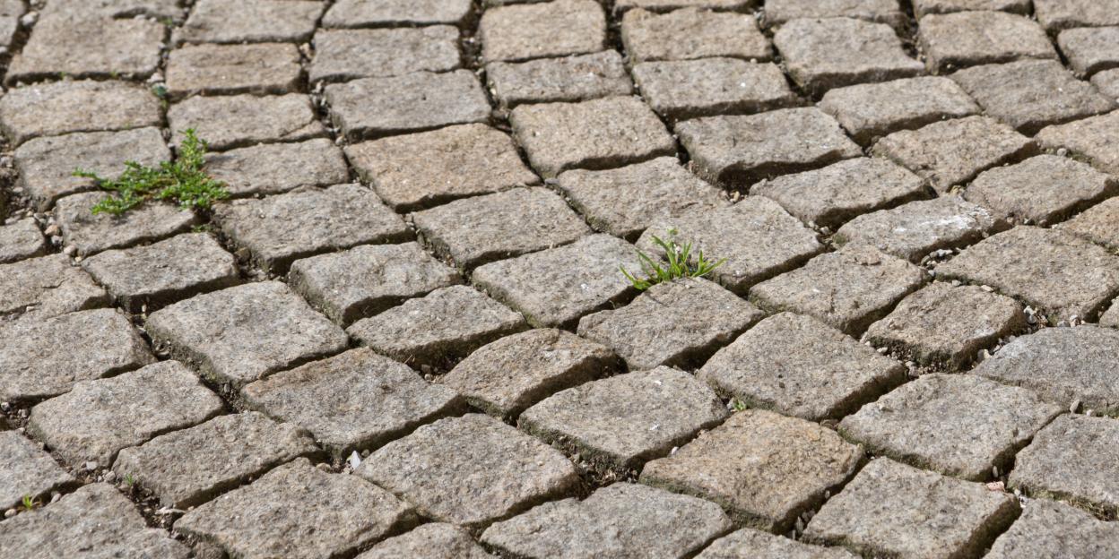 Demi-pavé en granit doré en vente chez Roches et Galets