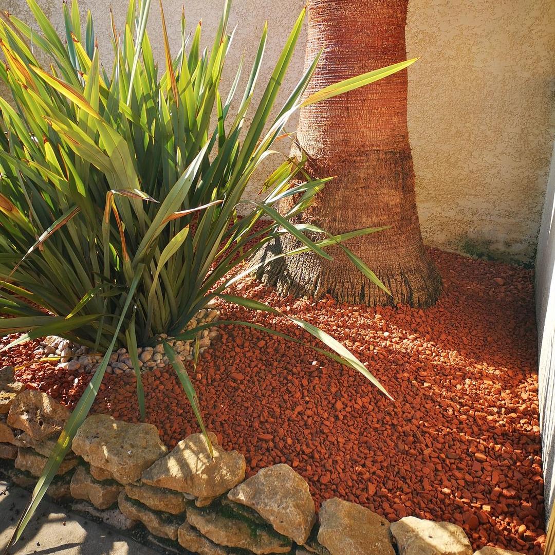 Paillage plantes grasses en brique pilée 